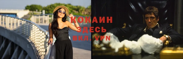 дживик Абаза