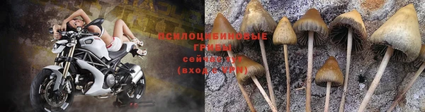 дживик Абаза