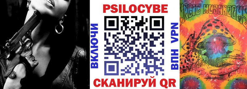 купить  сайты  Новопавловск  мориарти официальный сайт  Галлюциногенные грибы Magic Shrooms  мега ТОР 
